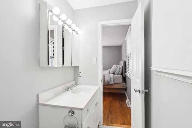 bathroom with vanity and wood-type flooring