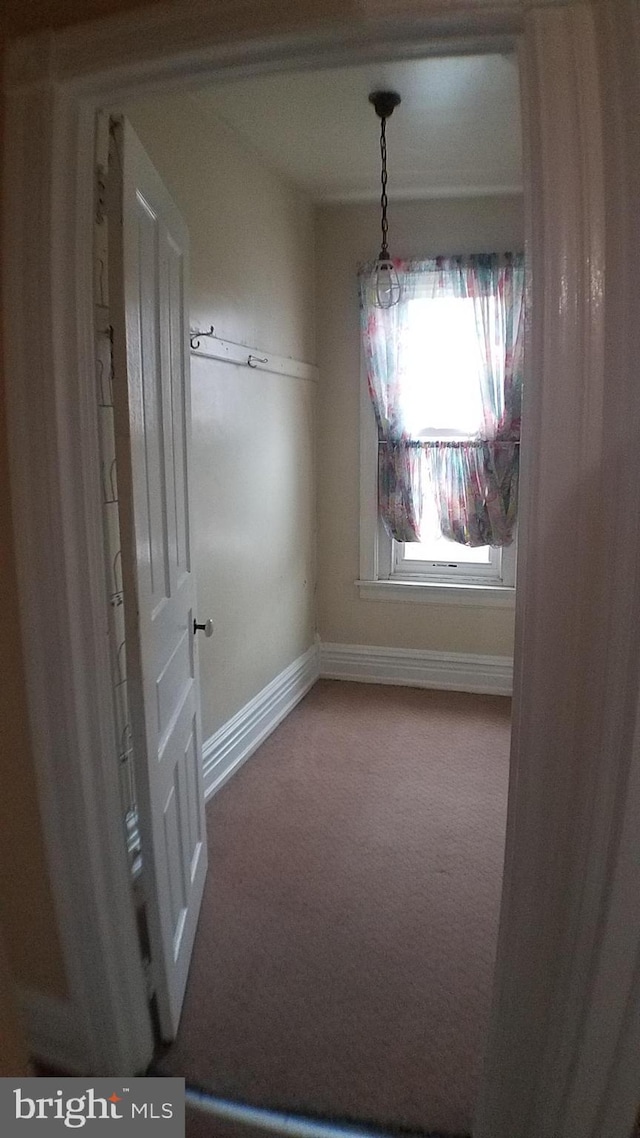 unfurnished dining area featuring carpet flooring