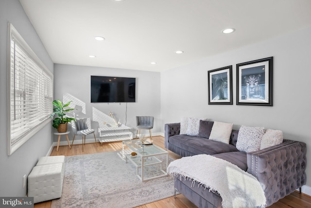 living room with hardwood / wood-style flooring