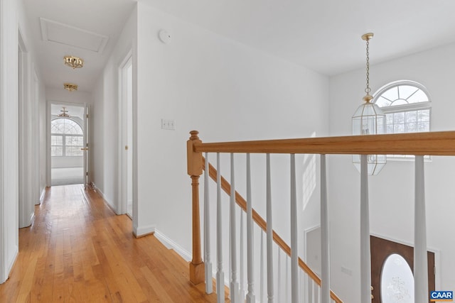 hallway featuring light hardwood / wood-style floors