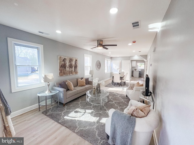 living room with ceiling fan and light wood-type flooring