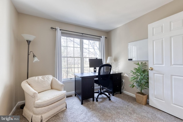 office area featuring carpet floors and baseboards