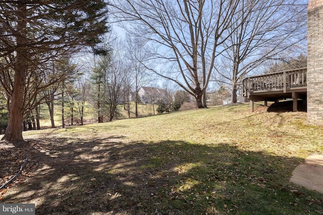 view of yard featuring a wooden deck