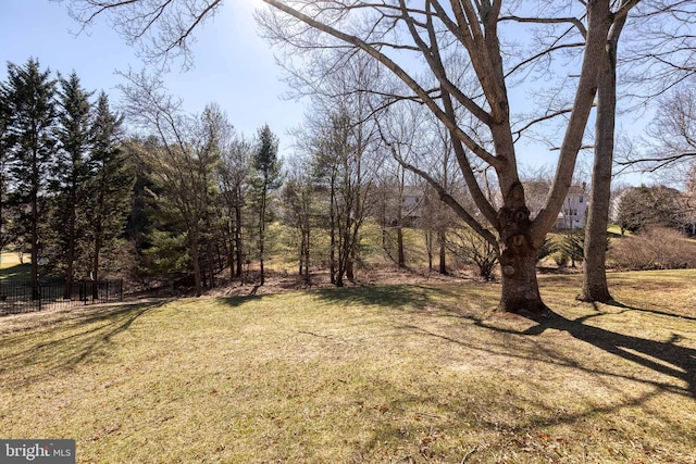 view of yard featuring fence