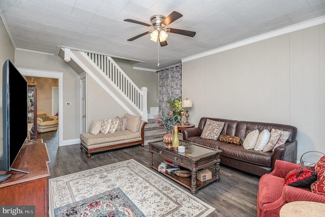 living room featuring ceiling fan, ornamental molding, and dark hardwood / wood-style floors