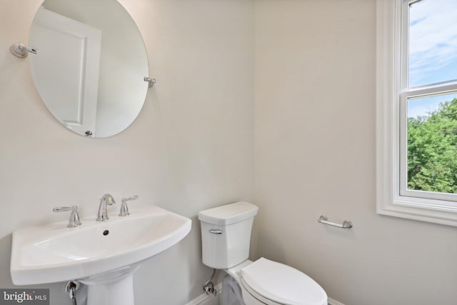 bathroom with sink and toilet