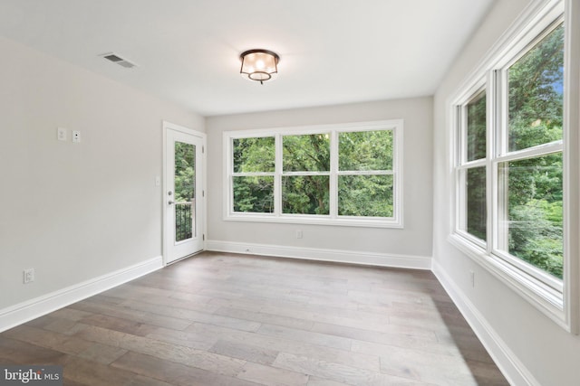 interior space featuring a wealth of natural light and wood-type flooring