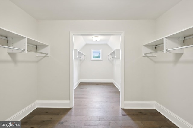 walk in closet featuring dark wood-type flooring