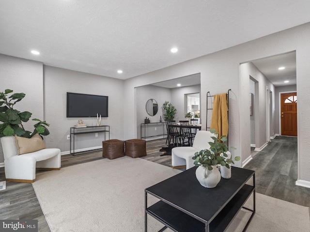 living room featuring dark wood-type flooring