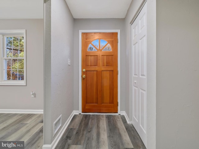 entryway with dark wood-type flooring