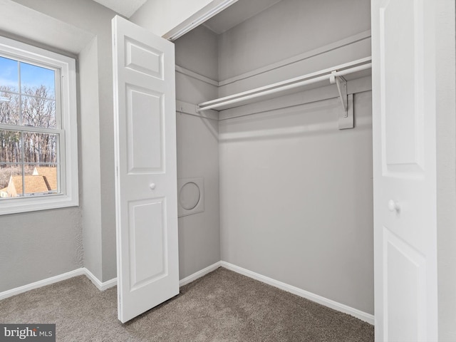 view of closet