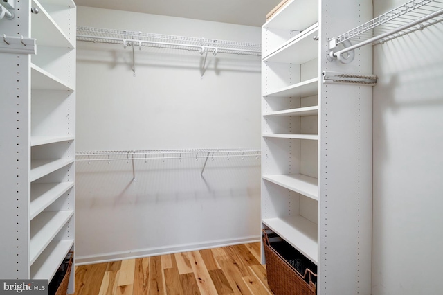 spacious closet featuring hardwood / wood-style floors