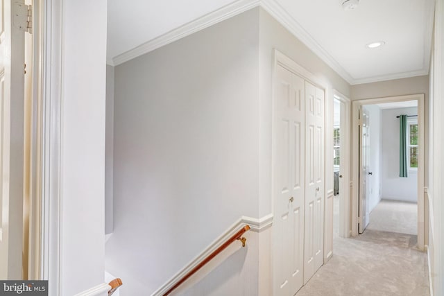 corridor featuring light colored carpet and ornamental molding