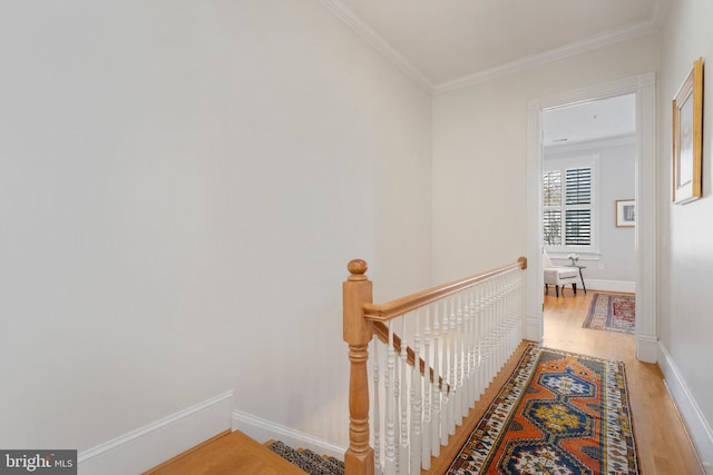 hallway featuring ornamental molding and wood-type flooring