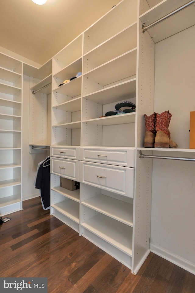 spacious closet with dark hardwood / wood-style flooring