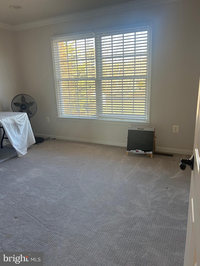 interior space with ornamental molding and carpet