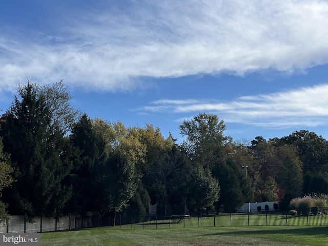 view of yard with a rural view