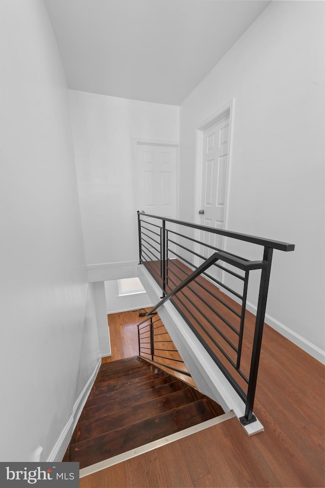 staircase featuring hardwood / wood-style flooring