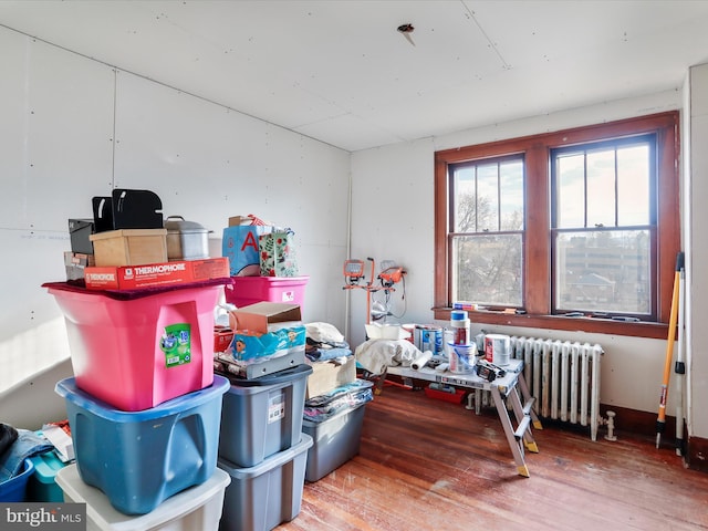 storage area with radiator