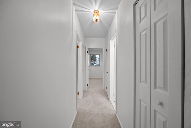 hallway featuring light carpet