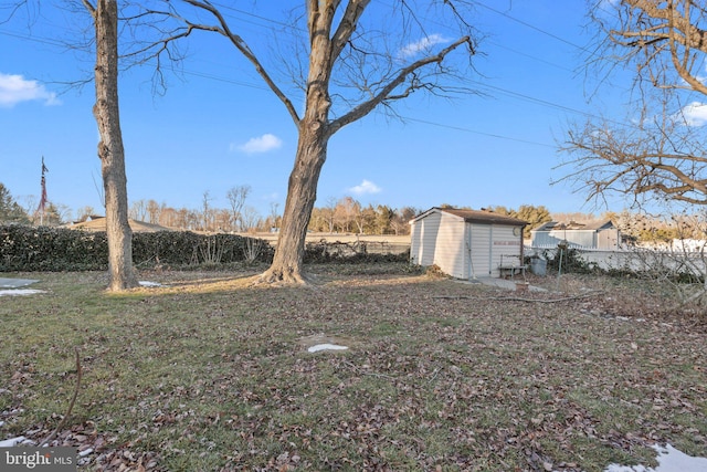 view of yard with a storage shed