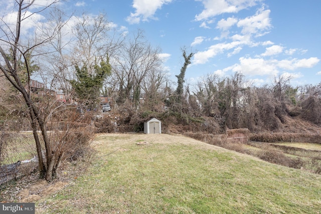 view of yard featuring a shed