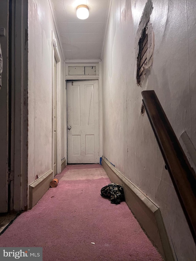 corridor with crown molding and light carpet