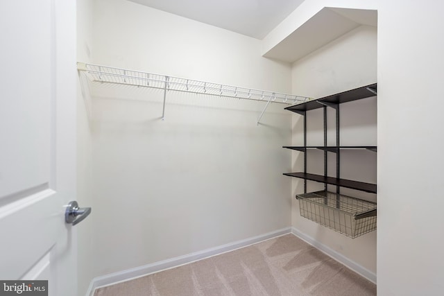 walk in closet featuring light colored carpet