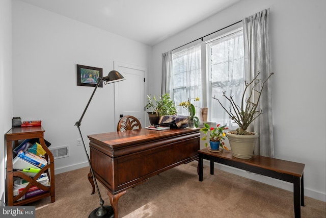 office space with light colored carpet