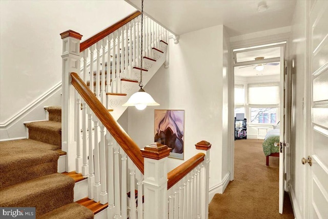 stairs with carpet flooring