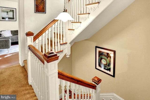 stairway featuring carpet floors