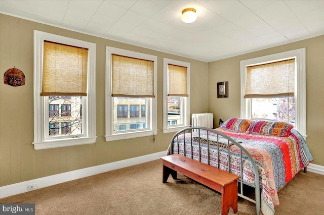 bedroom with carpet and radiator heating unit