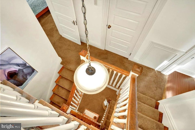 staircase with carpet flooring