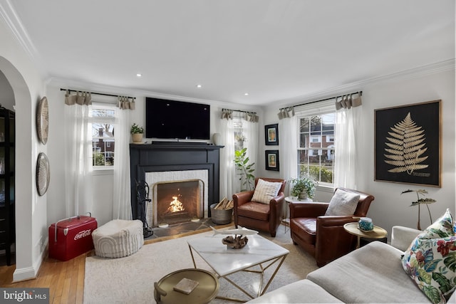 living room featuring ornamental molding, a healthy amount of sunlight, and light wood-type flooring