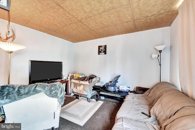 living room featuring carpet floors