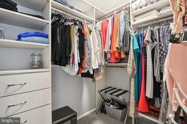 spacious closet featuring carpet flooring