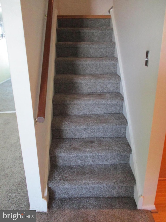 stairway featuring carpet flooring