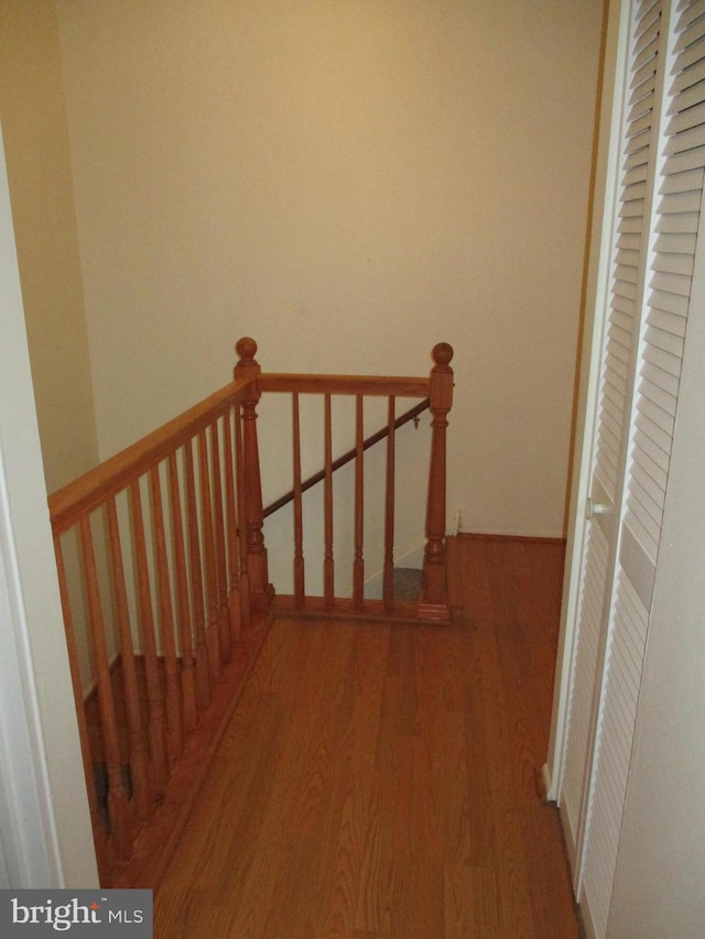 stairway with wood-type flooring