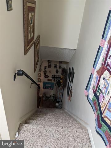 stairway featuring carpet flooring