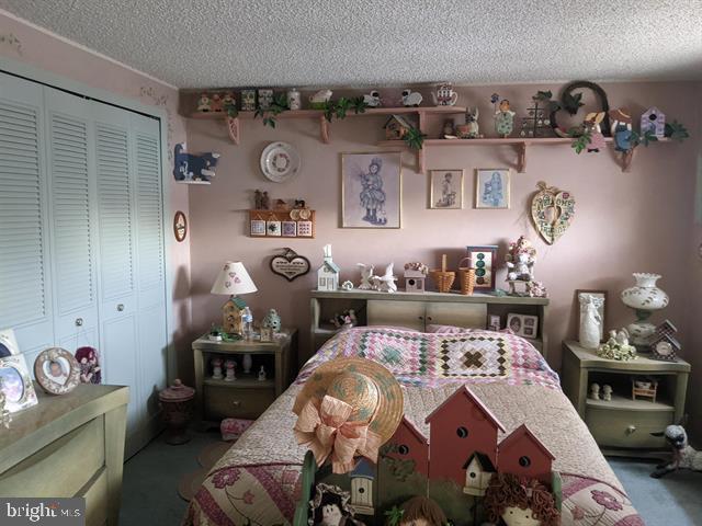 carpeted bedroom with a closet and a textured ceiling