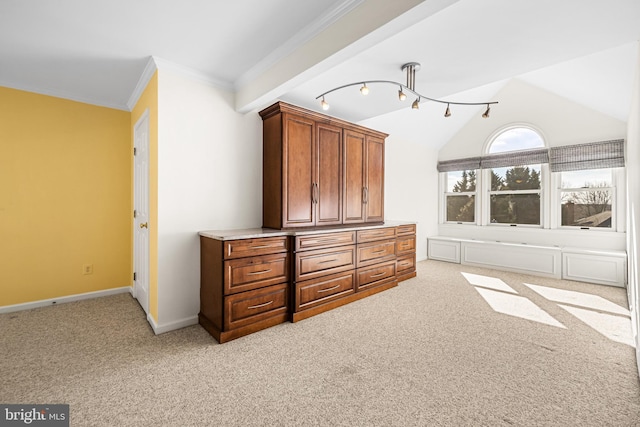 additional living space with lofted ceiling and light colored carpet