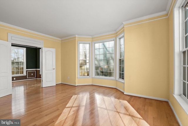 empty room with wood-type flooring and crown molding