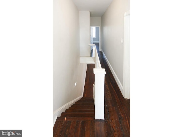 stairway with hardwood / wood-style floors