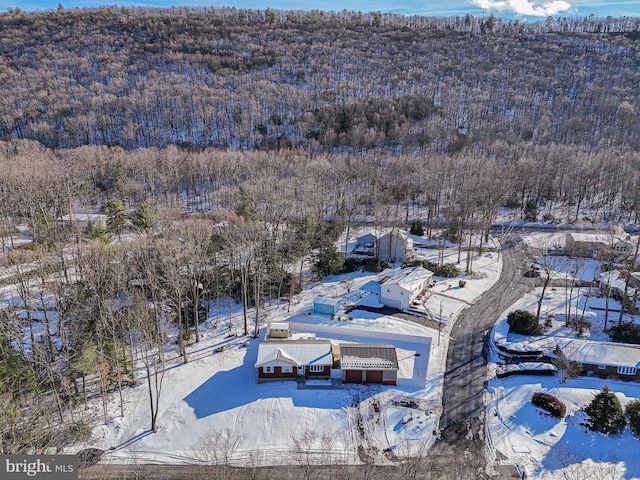 view of snowy aerial view