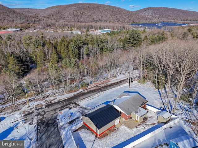 birds eye view of property featuring a mountain view