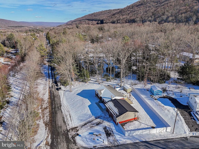 bird's eye view featuring a mountain view