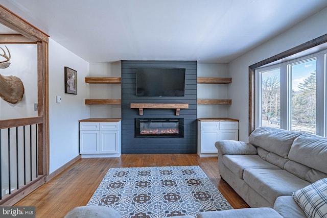 living room featuring a fireplace and light hardwood / wood-style flooring