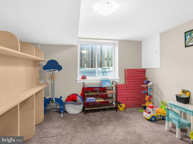 playroom with carpet flooring