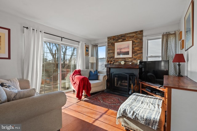 living room with wood-type flooring