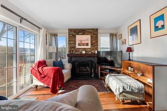 living room featuring wood-type flooring and a wealth of natural light